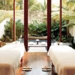 Luxury Detox A Comprehensive Guide to Wellness, Healing, and Rejuvenation