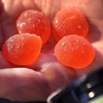 Is Cbd Gummies Safe to Take With Other Medications