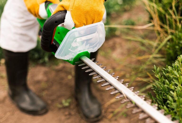 The Ultimate Guide to Garden Maintenance Services in Dubai