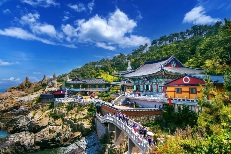 Experience the Ultimate Relaxation The Busan OP Site