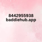 8442955938